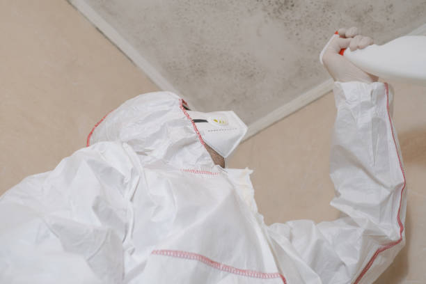 Best Emergency Mold Removal  in Kayak Point, WA
